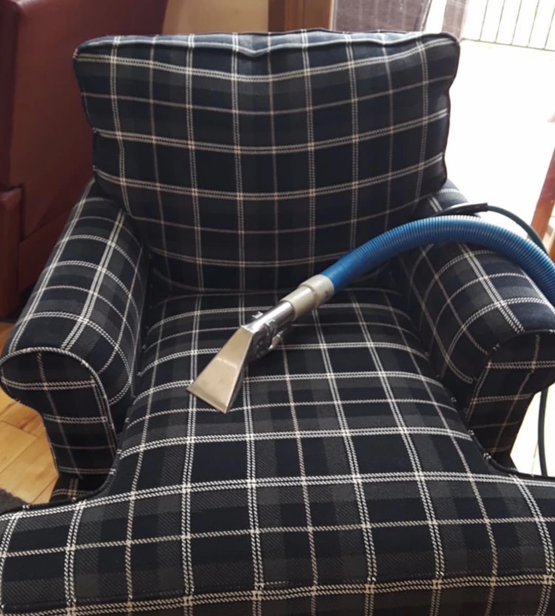 Upholstery Cleaning